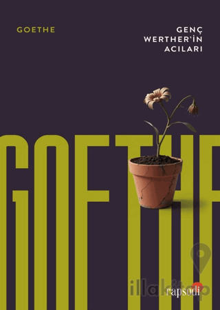 Genç Werther’in Acıları