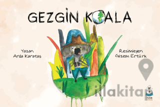 Gezgin Koala