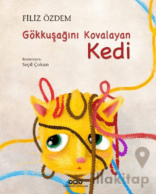 Gökkuşağını Kovalayan Kedi