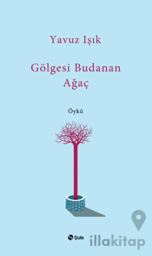 Gölgesi Budanan Ağaç