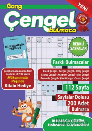 Gong Çengel Bulmaca 14