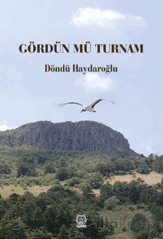 Gördün Mü Turnam