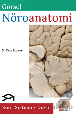 Görsel Nöroanatomi