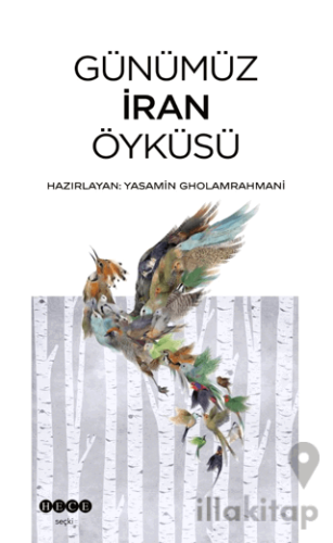 Günümüz İran Öyküsü