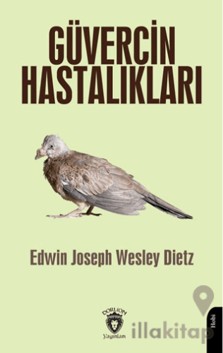 Güvercin Hastalıkları
