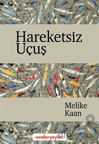 Hareketsiz Uçuş