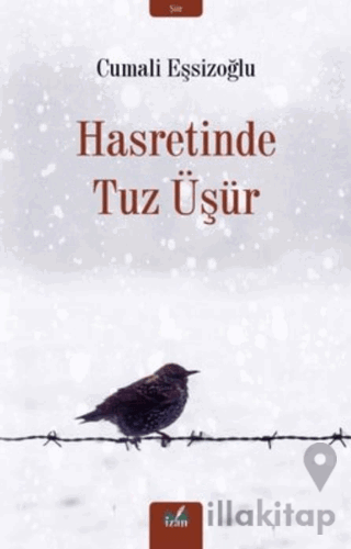 Hasretinde Tuz Üşür