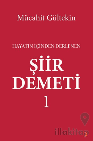 Hayatın İçinden Derlenen Şiir Demeti 1
