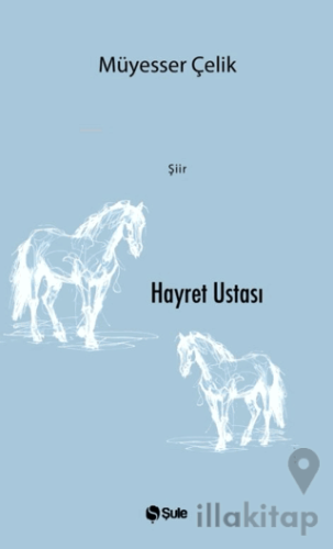 Hayret Ustası