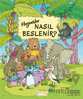 Hayvanlar Nasıl Beslenir ?