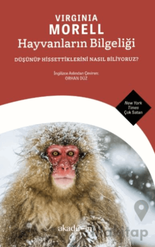 Hayvanların Bilgeliği: Düşünüp Hissettiklerini Nasıl Biliyoruz?