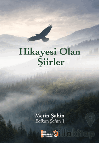 Hikayesi Olan Şiirler