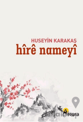 Hire Nameyi