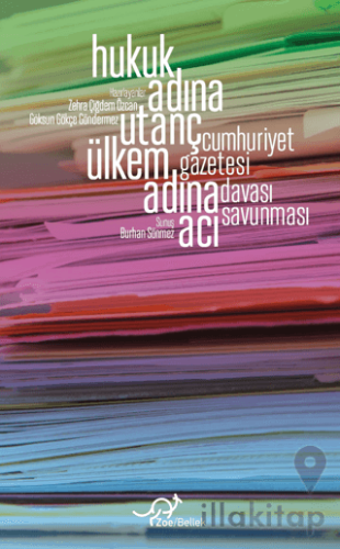 Hukuk Adına Utanç, Ülkem Adına Acı