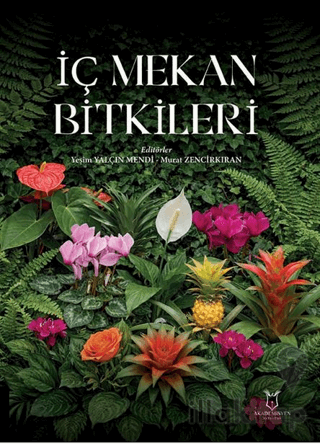 İç Mekan Bitkileri