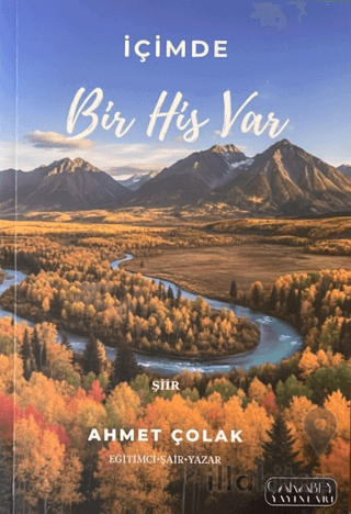 İçimde Bir His Var