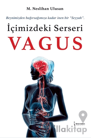 İçimizdeki Serseri Vagus