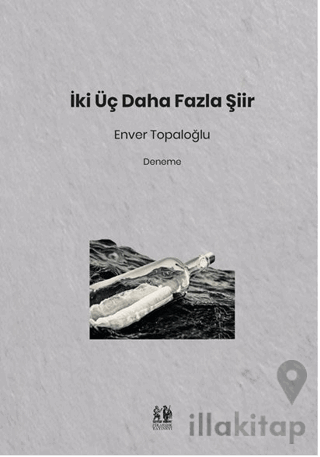 İki Üç Daha Fazla Şiir