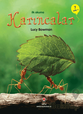 İlk Okuma - Karıncalar