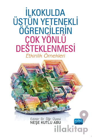 İlkokulda Üstün Yetenekli Öğrencilerin Çok Yönlü Desteklenmesi - Etkinlik Örnekleri