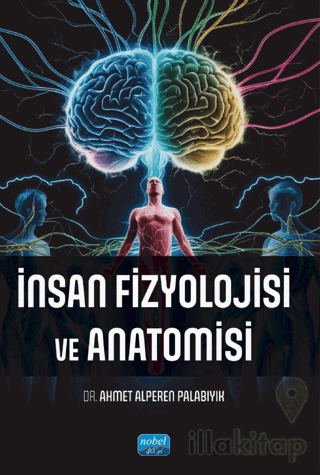 İnsan Fizyolojisi ve Anatomisi