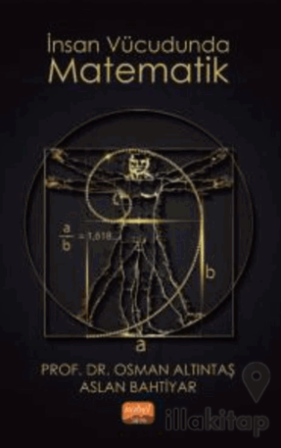 İnsan Vücudunda Matematik
