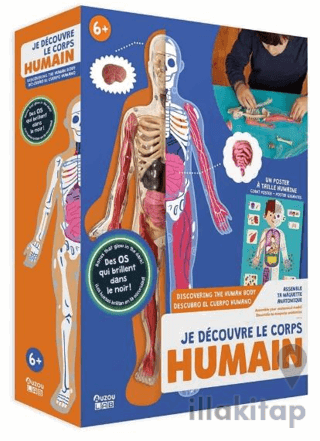 İnsan Vücudunu Keşfediyorum Poster -Model ve Kitap