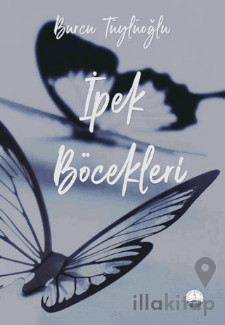 İpek Böcekleri