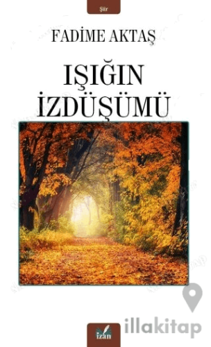 Işığın İzdüşümü