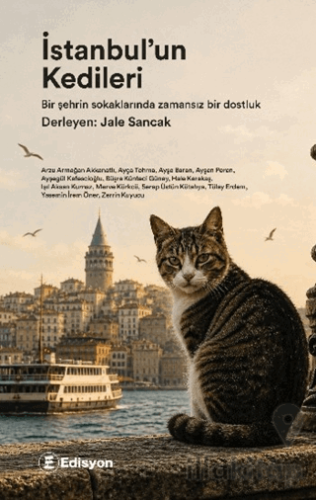 İstanbul'un Kedileri