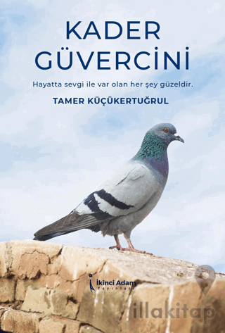 Kader Güvercini