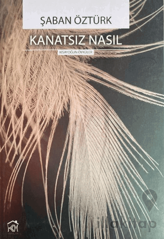 Kanatsız Nasıl