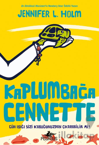 Kaplumbağa Cennette