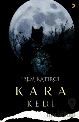 Kara Kedi