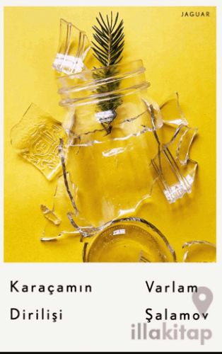 Karaçamın Dirilişi