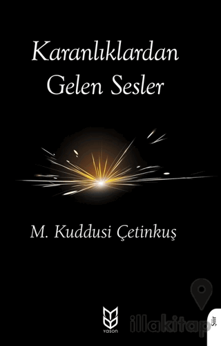 Karanlıklardan Gelen Sesler