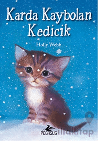 Karda Kaybolan Kedicik