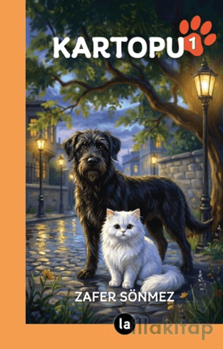 Kartopu 1
