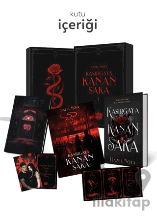 Kasırgaya Kanan Saka 1- Hediyeli Özel Kutu