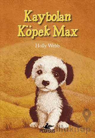 Kaybolan Köpek Max