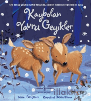 Kaybolan Yavru Geyikler