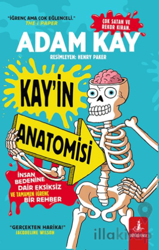 Kay'in Anatomisi