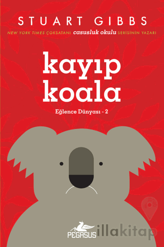 Kayıp Koala