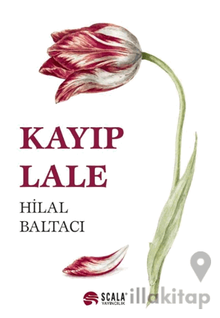 Kayıp Lale