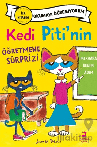 Kedi Piti’nin Öğretmene Sürprizi