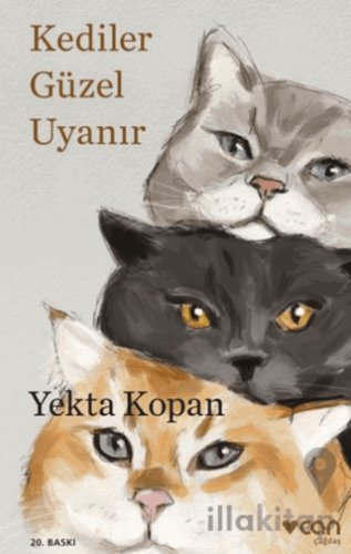 Kediler Güzel Uyanır