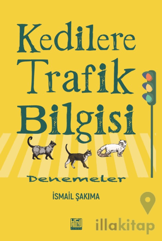 Kedilere Trafik Bilgisi: Denemeler