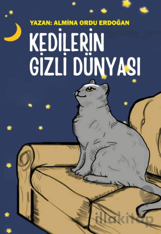 Kedilerin Gizli Dünyası