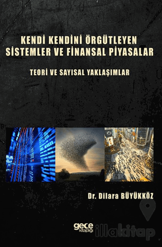Kendi Kendini Örgütleyen Sistemler ve Finansal Piyasalar : Teori ve Sayısal Yaklaşımlar