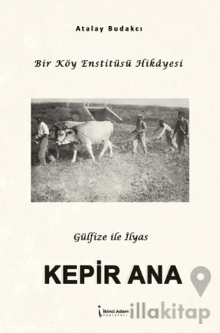 Kepir Ana